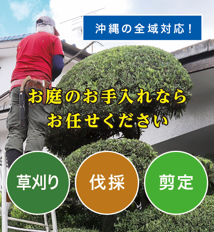 南風原町で草刈り・剪定・伐採なら「お庭の大将」 南風原町で草刈り・剪定・伐採なら「お庭の大将」