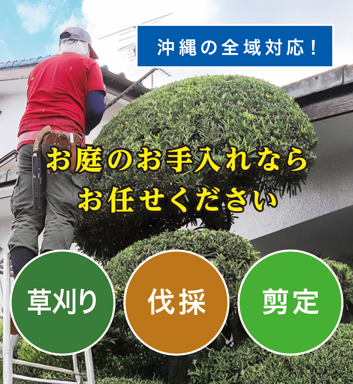 ������A���́A����A����̂������Ȃ炨�C����������